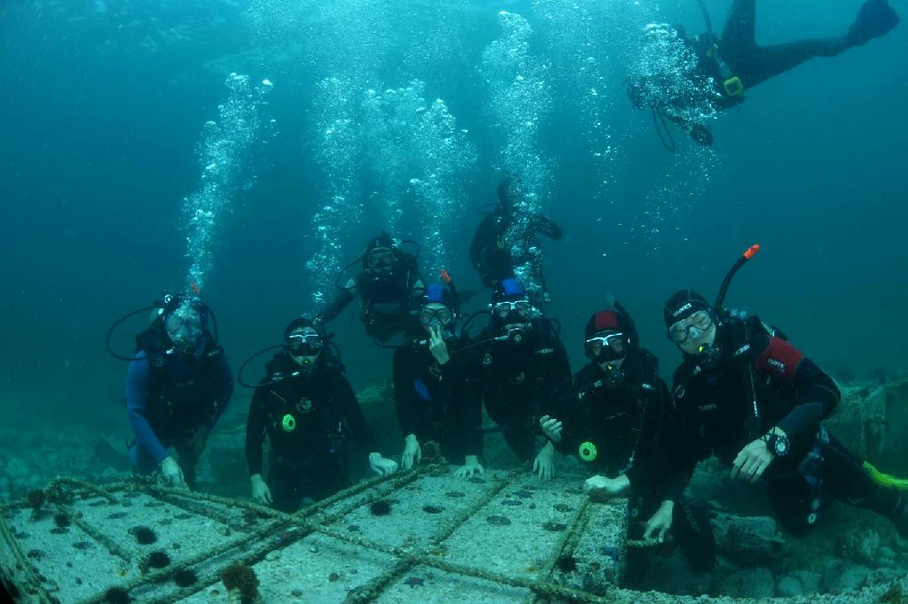 포항 청진카페마린11(십자형어초) - 포항 (펀다이빙) - 포항 청진카페마린11(십자형어초)
