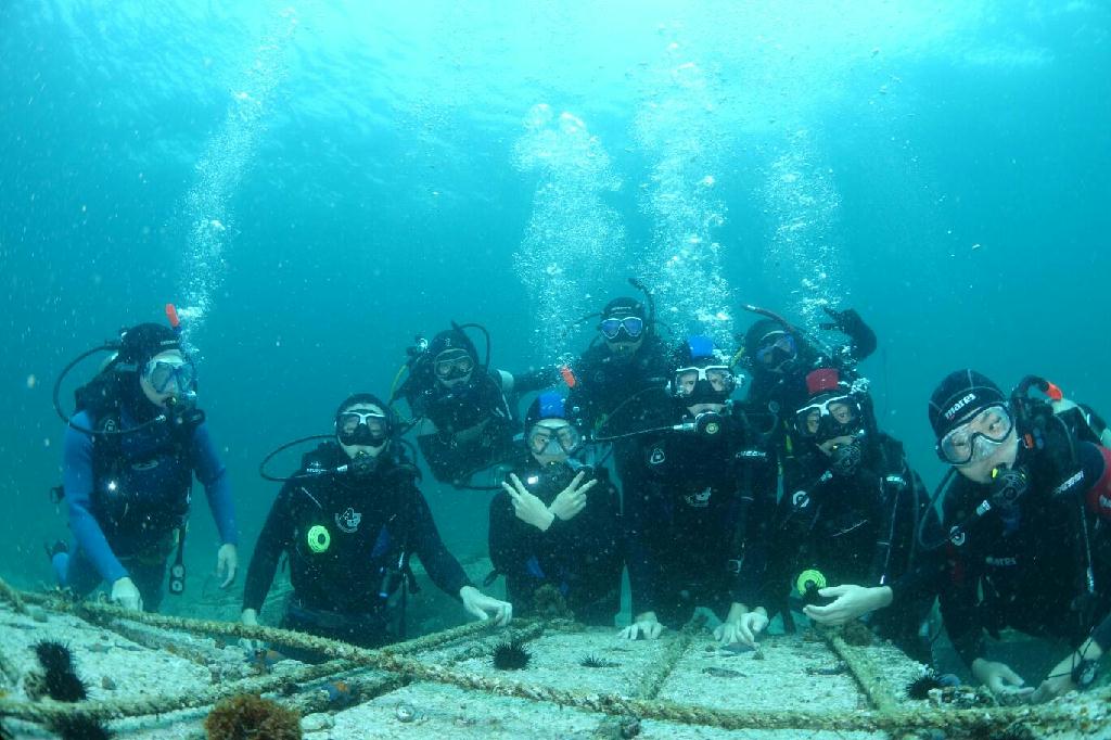 포항 청진카페마린11(십자형어초) - 포항 (펀다이빙) - 포항 청진카페마린11(십자형어초)