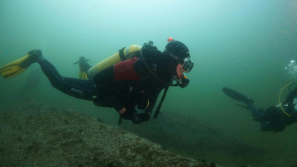 포항 청진 카페마린11 자연암반 - 포항(펀다이빙) - 포항 청진 카페마린11 자연암반