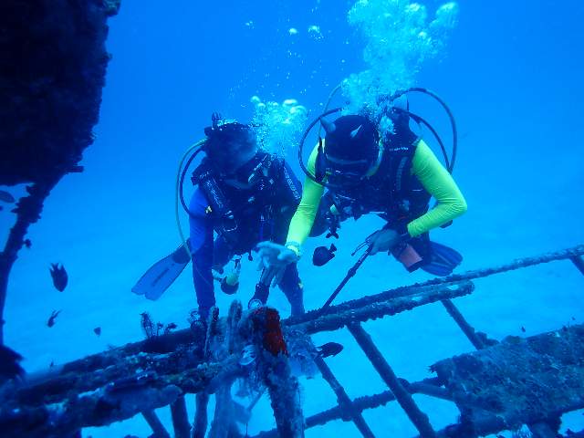 난파선 - Bohol - House Reef