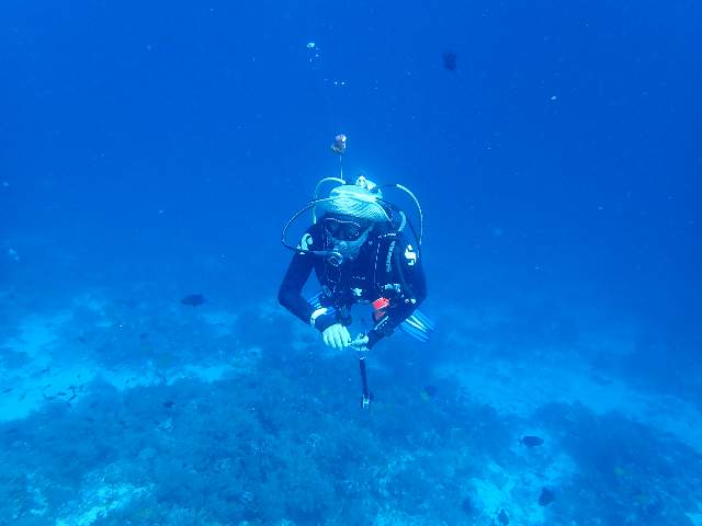 Bohol - PPB