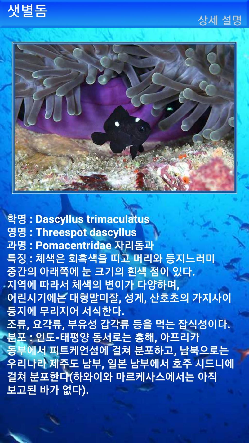 툴람밴 - 리버티호난파선