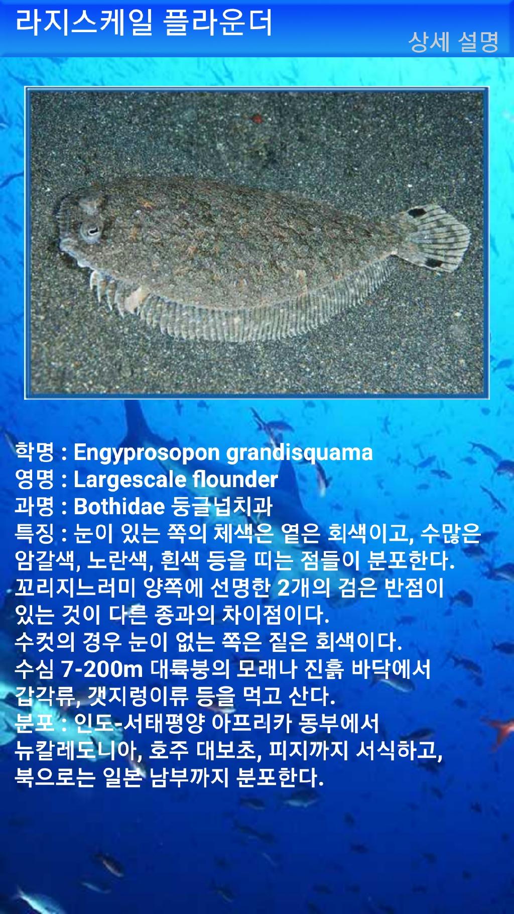 툴람밴 - 리버티호난파선