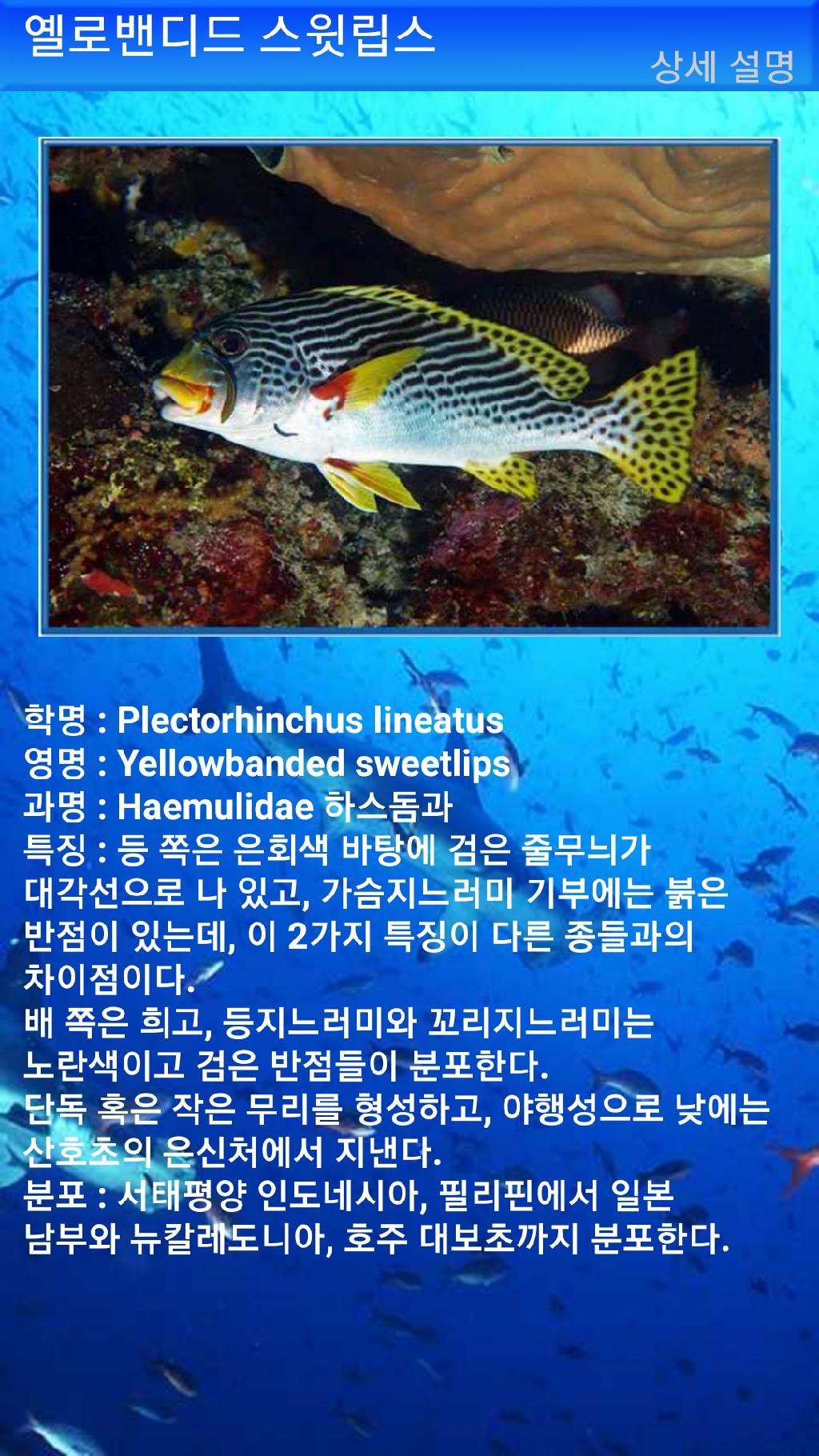 아메드 - 드롭오프