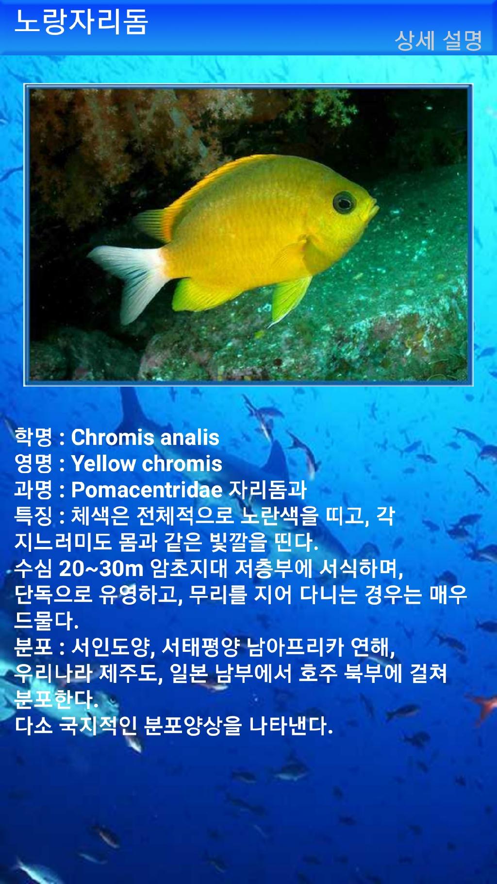 펀다이빙 - 빠당바이 - 딴중붕실