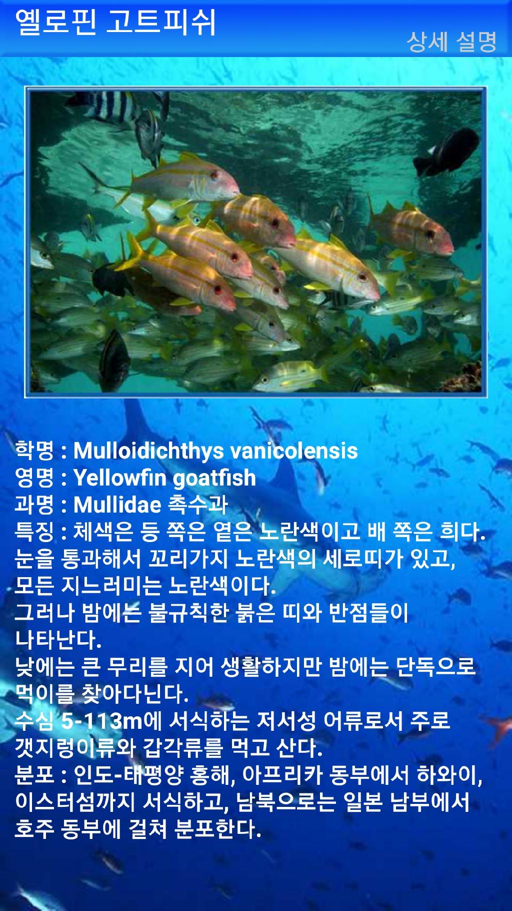 아메드 - 드롭오프