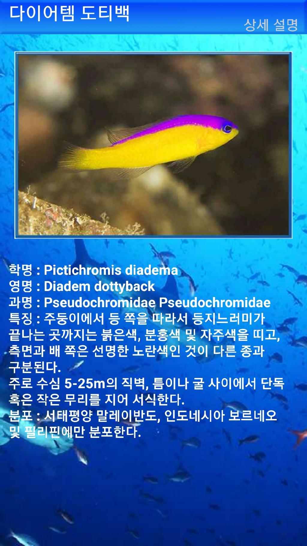 아메드 - 드롭오프