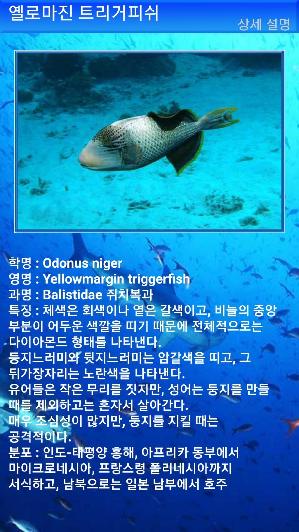 펀다이빙 - 빠당바이 - 딴중붕실