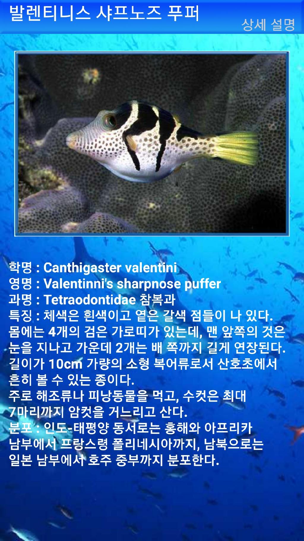 펀다이빙 - 빠당바이 - 딴중붕실