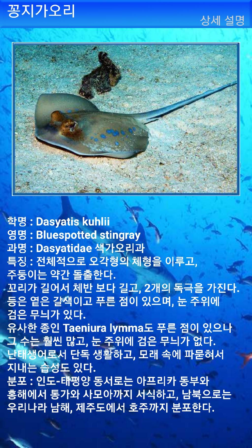 누사페니다 - 만타포인트