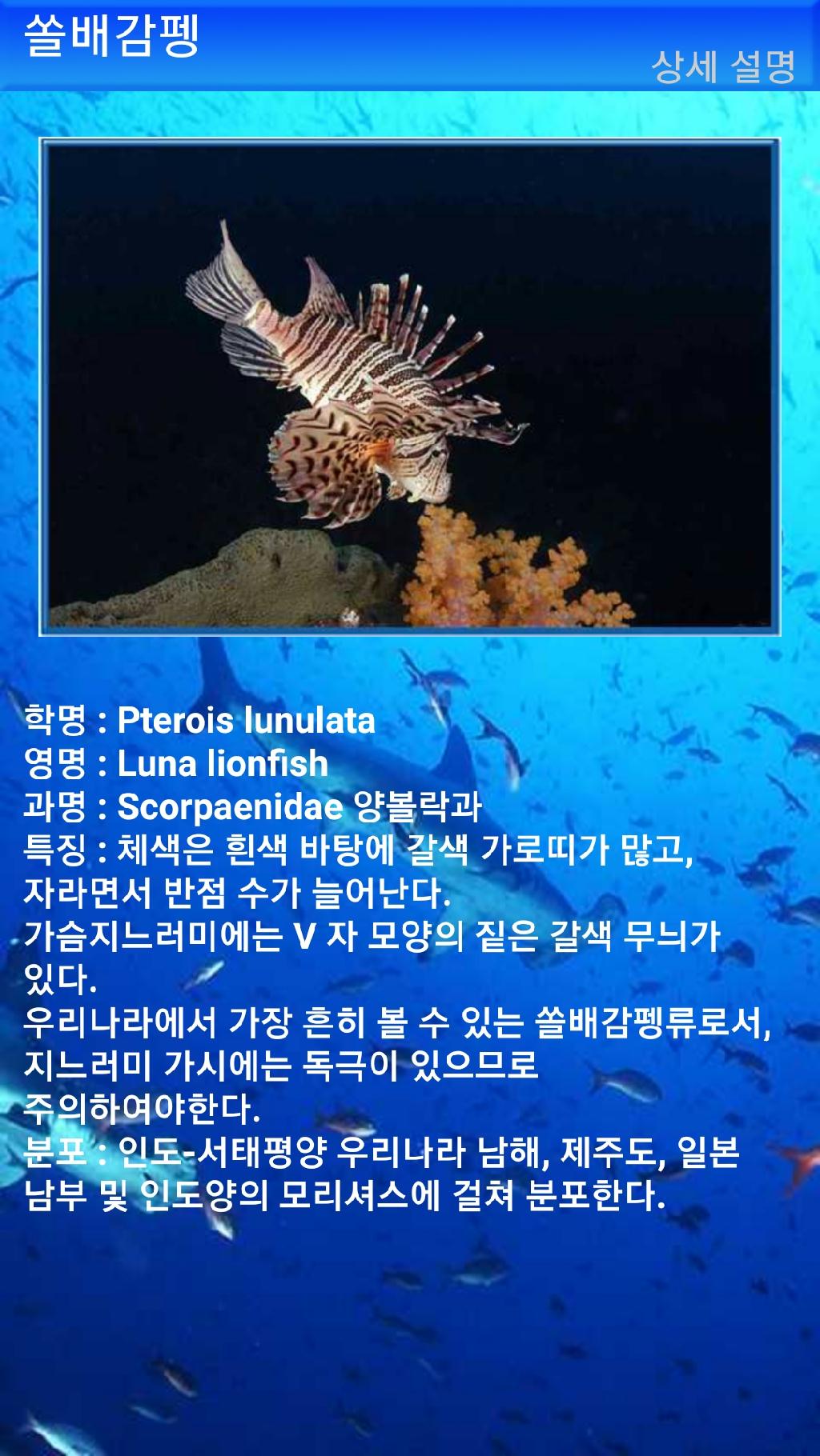 툴람밴 - 리버티호난파선