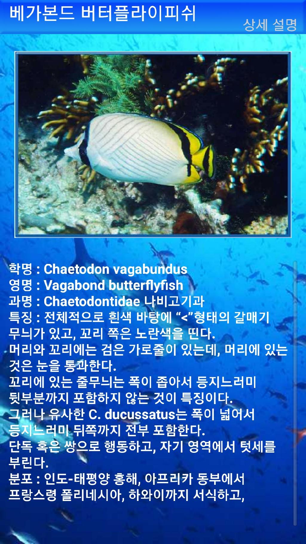 아메드 - 드롭오프