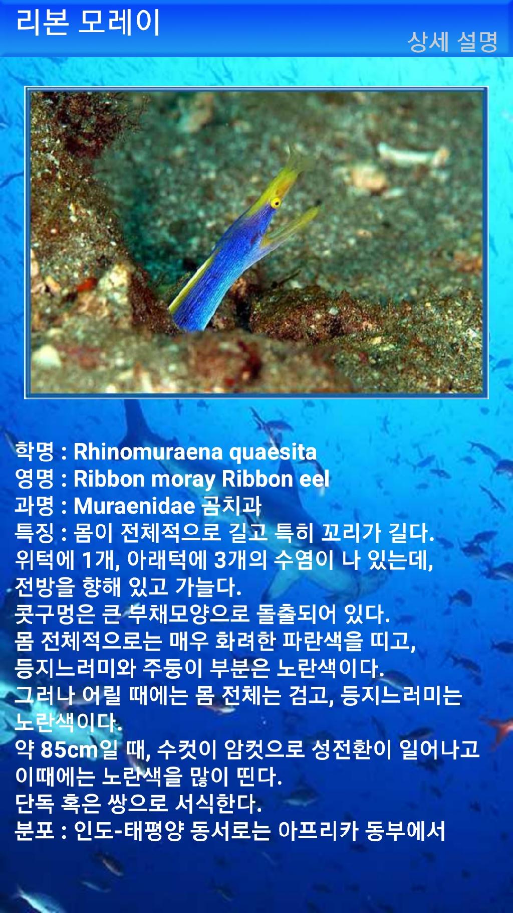 툴람밴 - 리버티호난파선