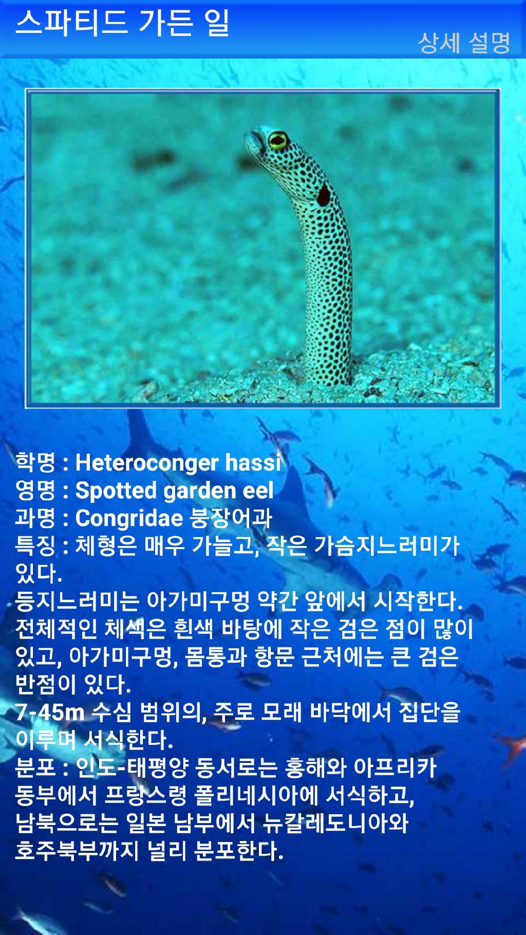 아메드 - 드롭오프