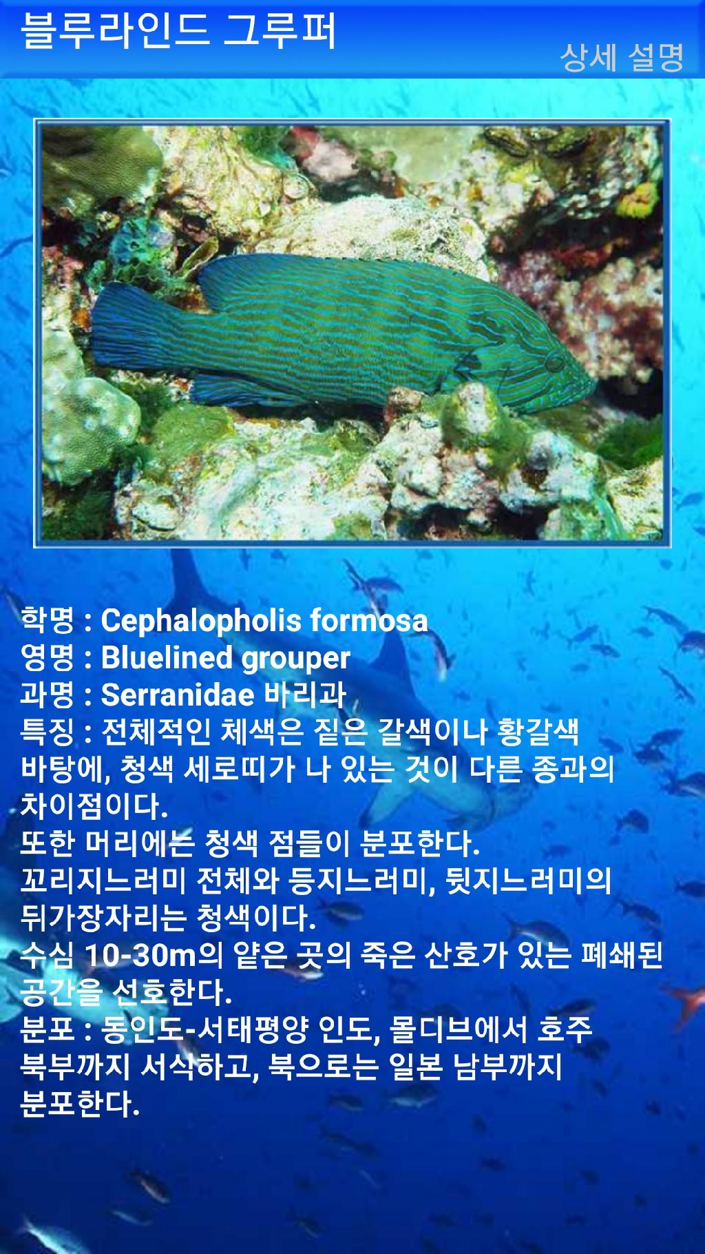 누사페니다 - 만타포인트