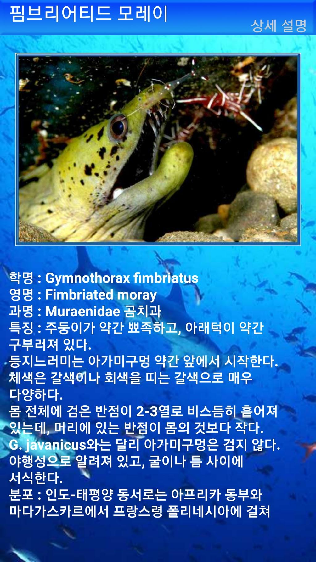 누사페니다 - 만타포인트
