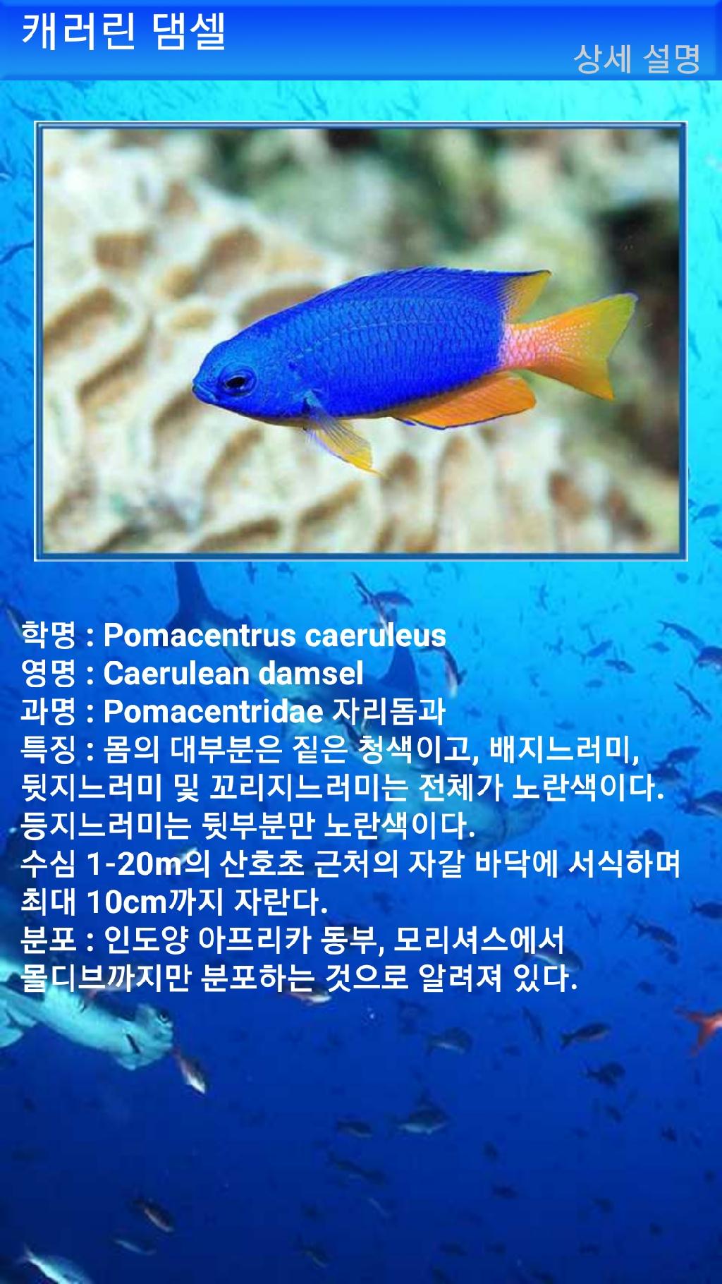 툴람밴 - 리버티호난파선