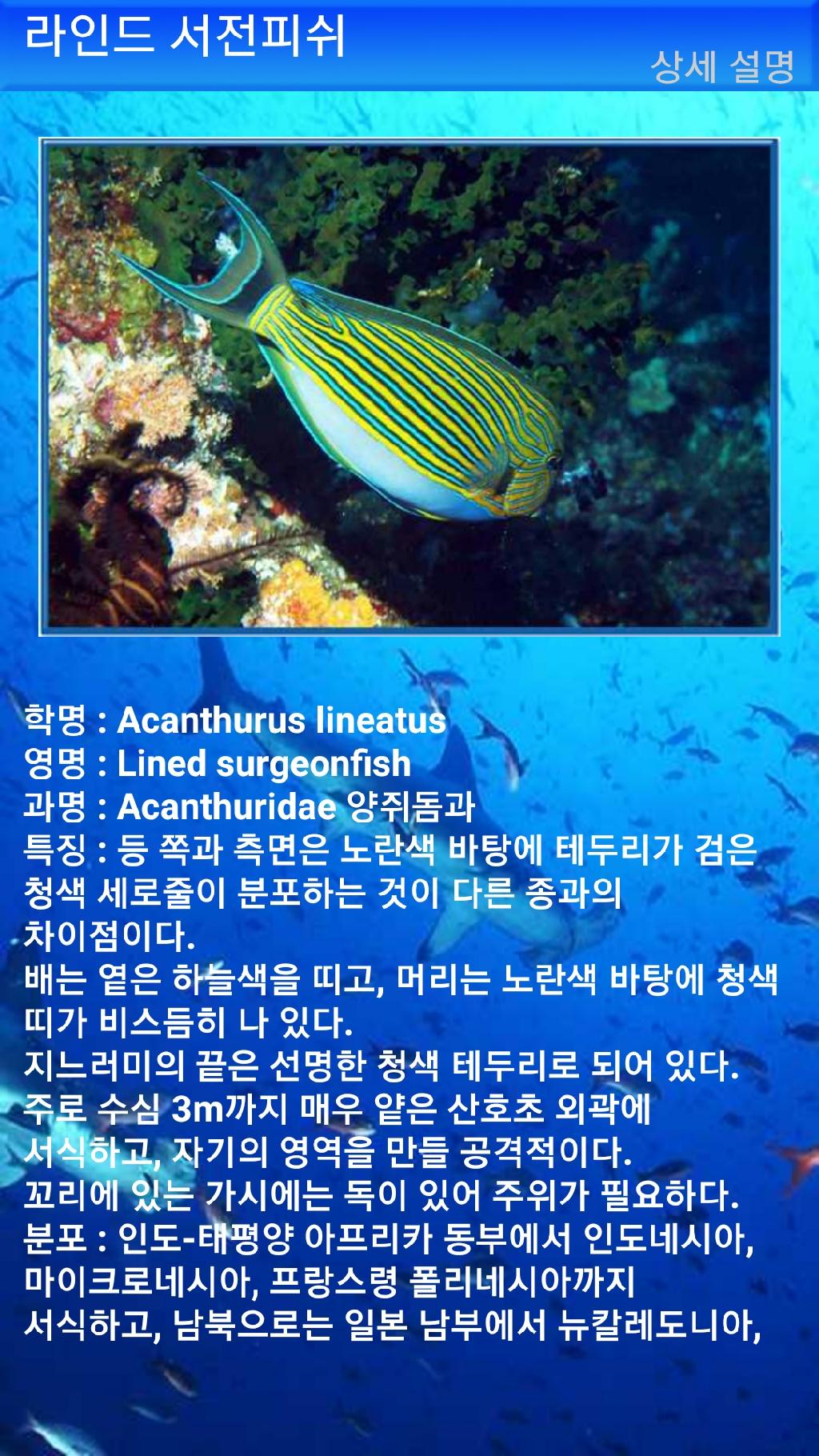 툴람밴 - 리버티호난파선