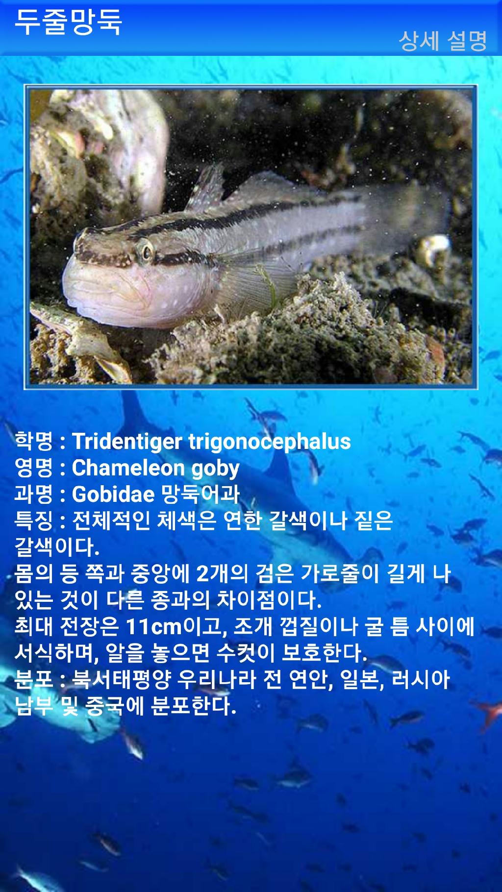 툴람밴 - 리버티호난파선