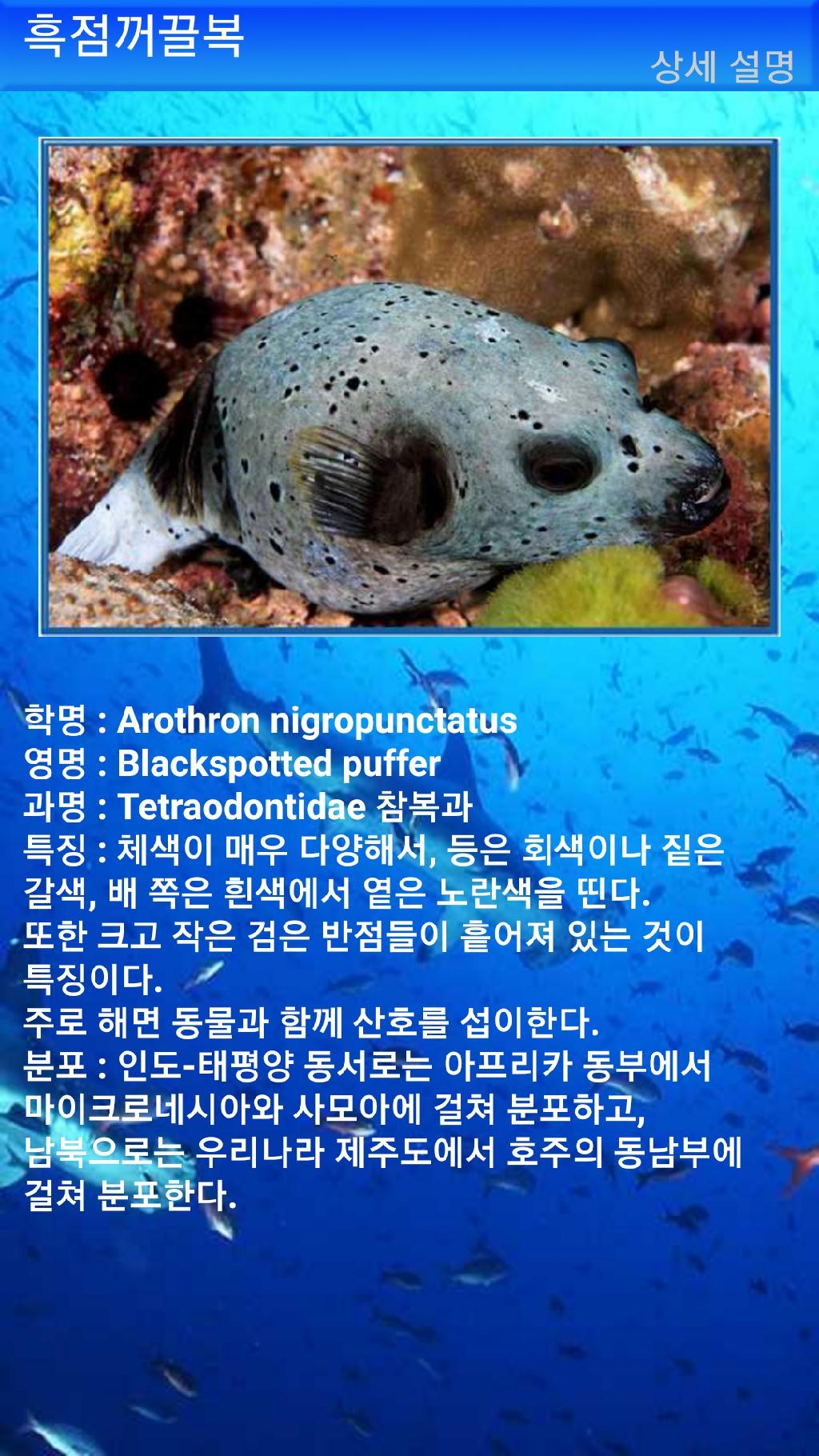 툴람밴 - 리버티호난파선