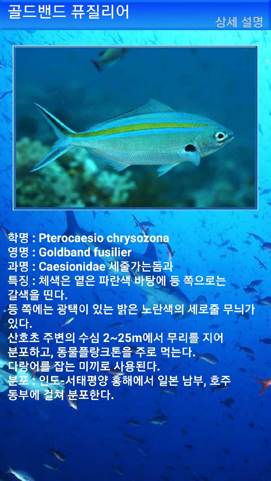 툴람밴 - 리버티호난파선