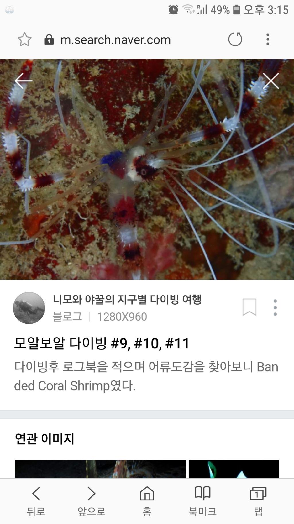 툴람밴 - 리버티호난파선