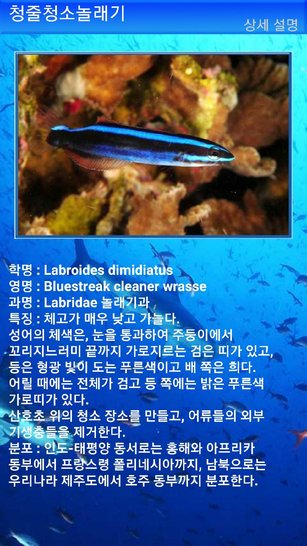 아메드 - 드롭오프