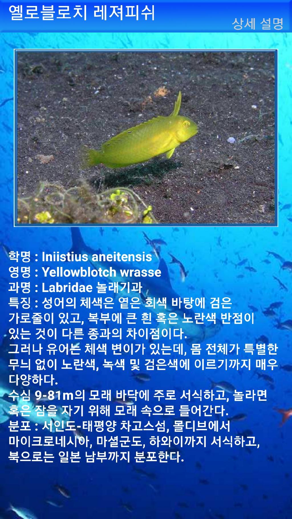 아메드 - 드롭오프