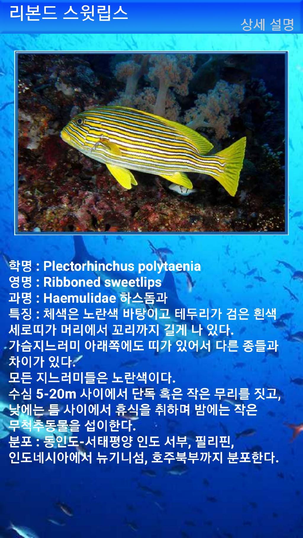 아메드 - 드롭오프