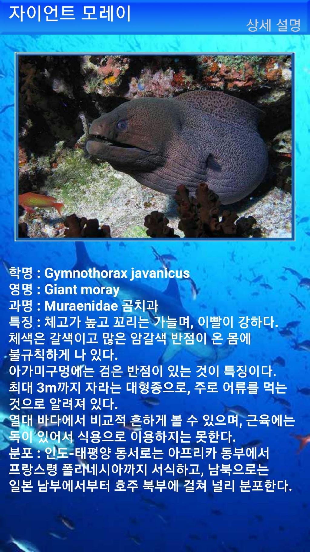 누사페니다 - 만타포인트
