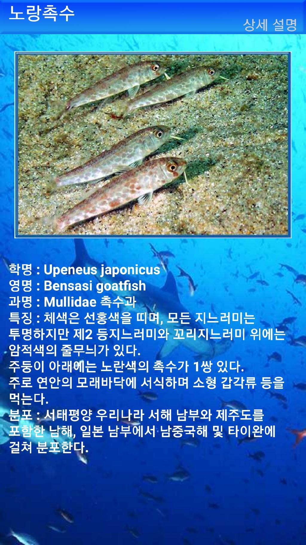 아메드 - 드롭오프