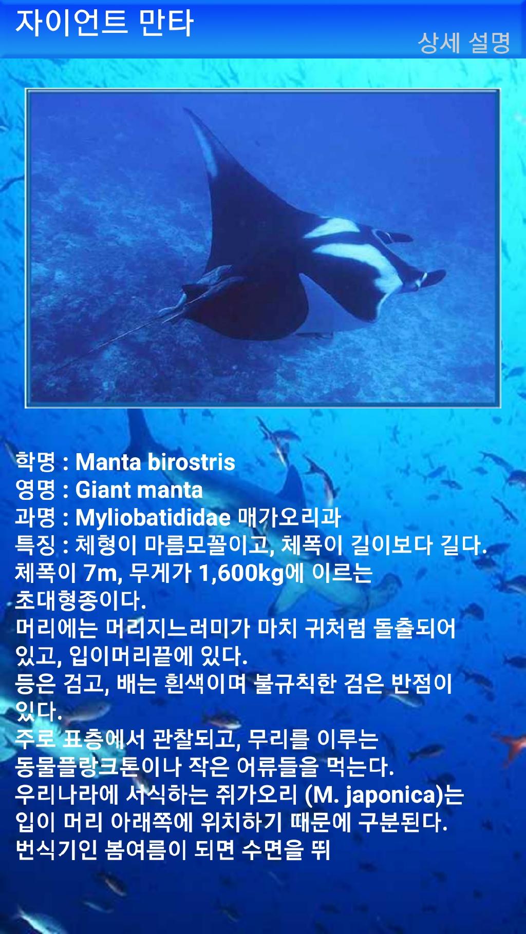 누사페니다 - 만타포인트
