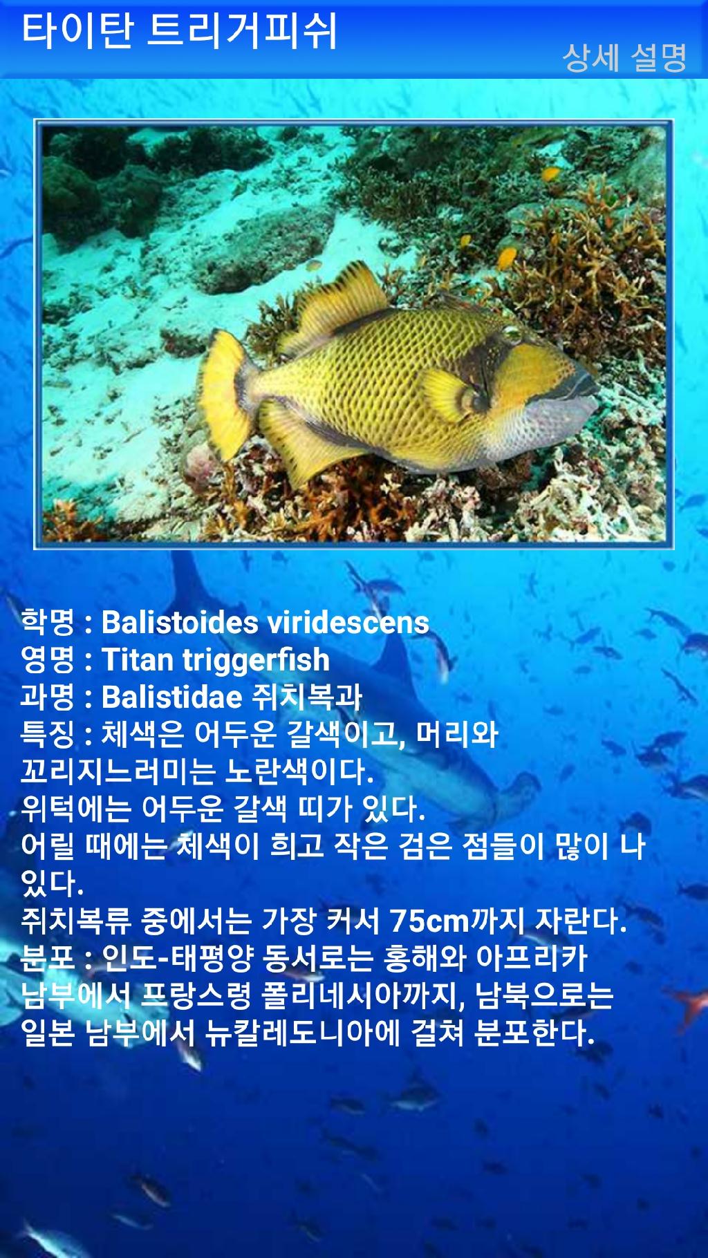 툴람밴 - 리버티호난파선