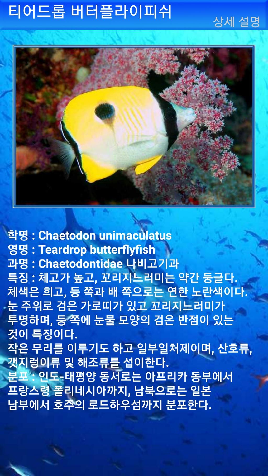 펀다이빙 - 빠당바이 - 딴중붕실