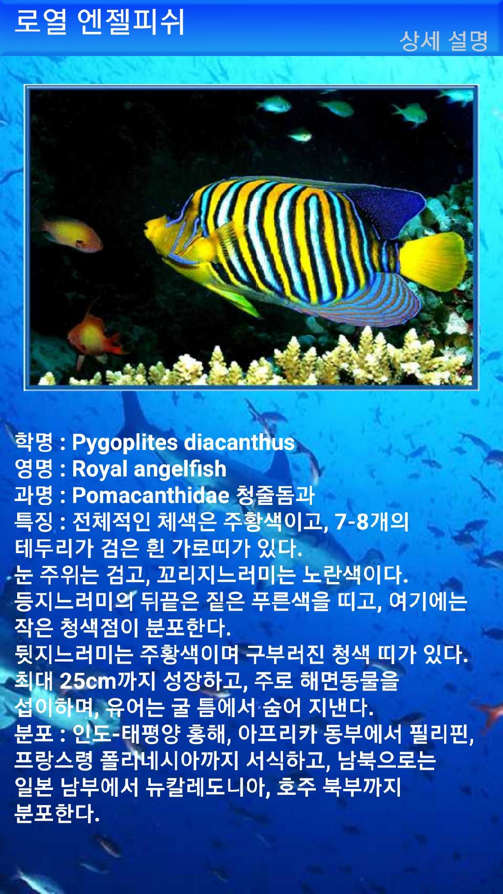 펀다이빙 - 빠당바이 - 딴중붕실