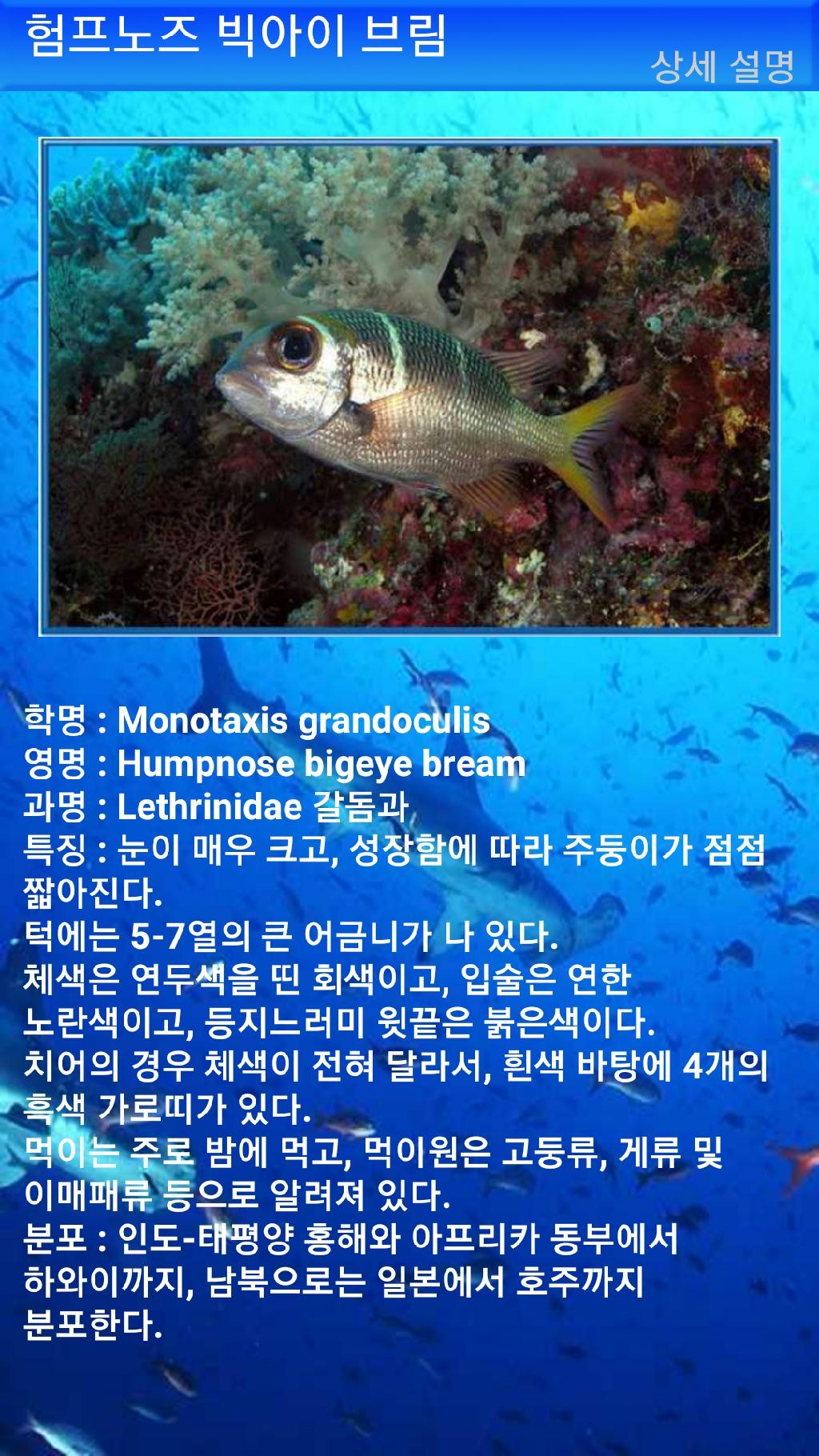 펀다이빙 - 빠당바이 - 딴중붕실