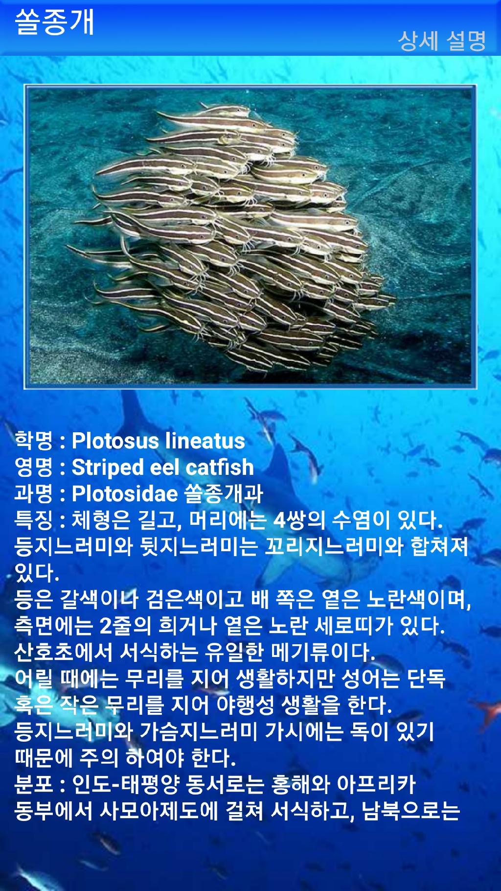 아메드 - 드롭오프