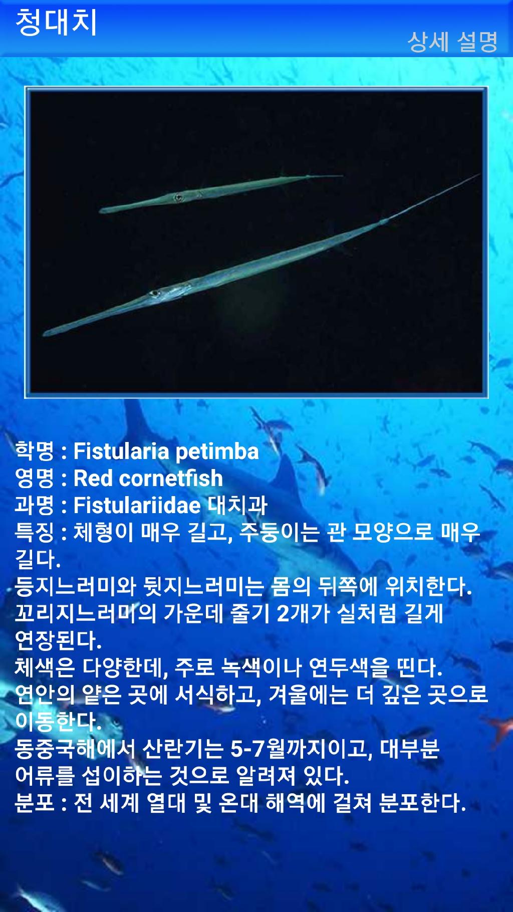 누사페니다 - 만타포인트