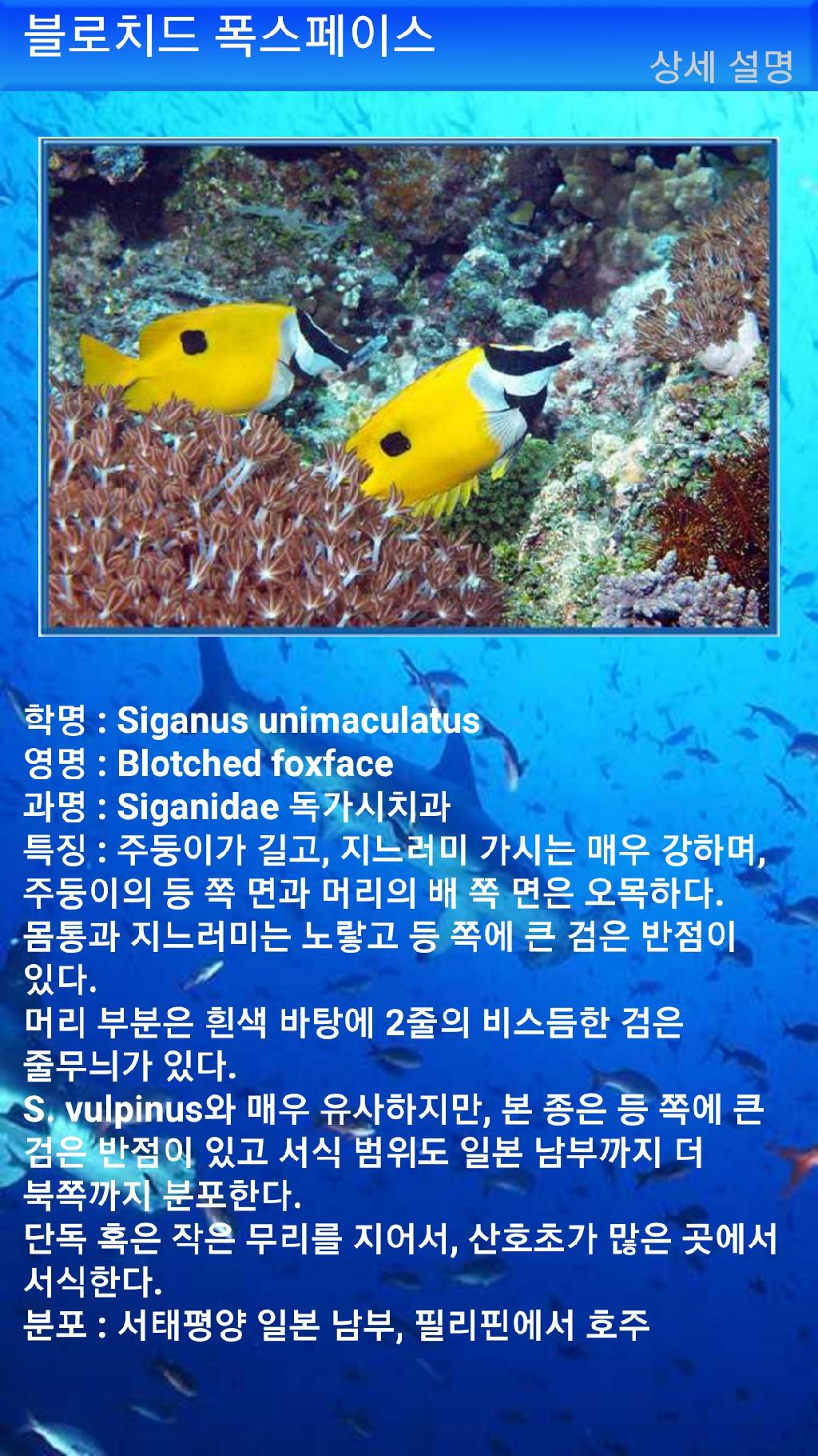 아메드 - 드롭오프