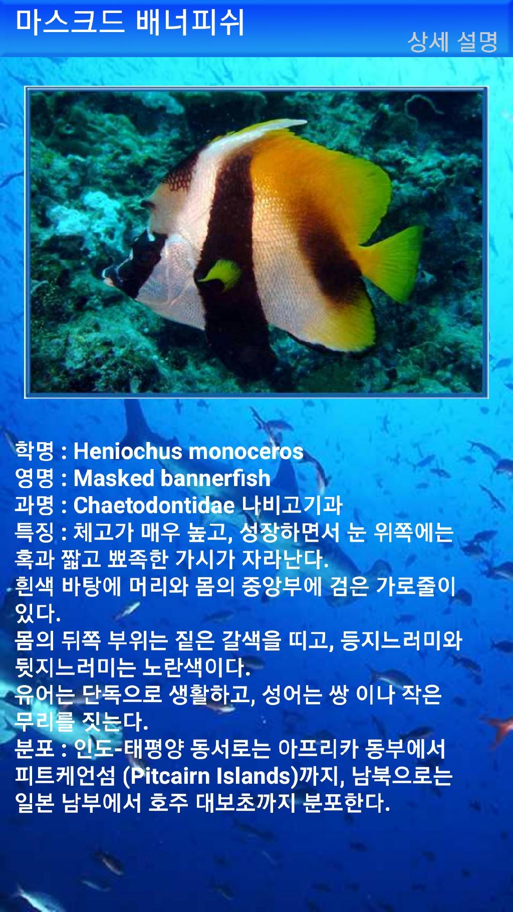 아메드 - 드롭오프