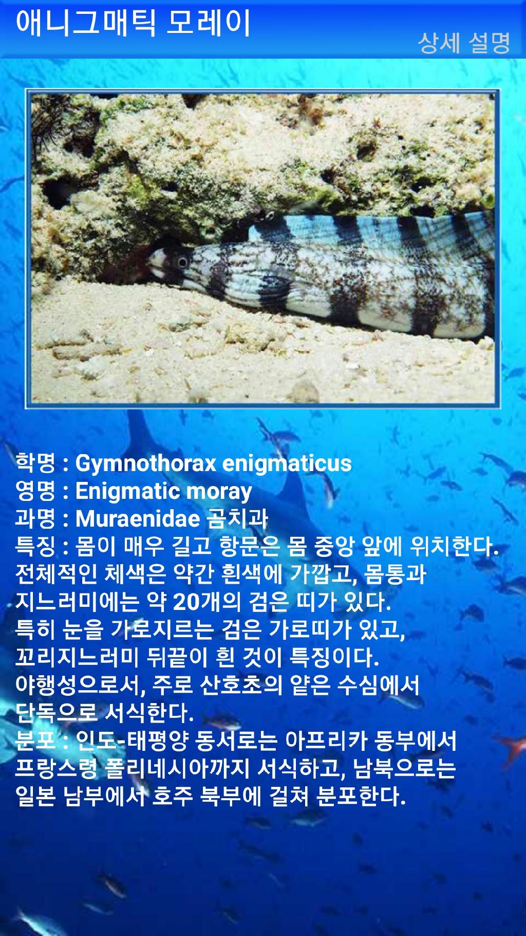 아메드 - 드롭오프