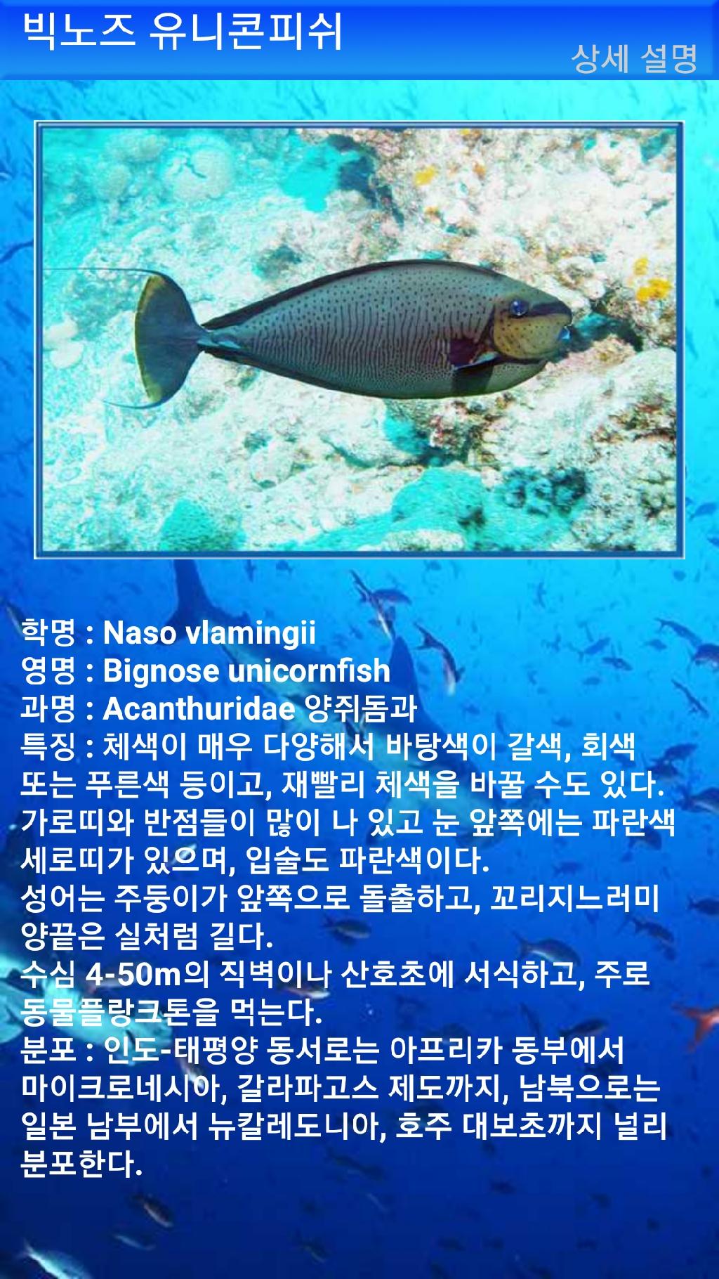 아메드 - 드롭오프