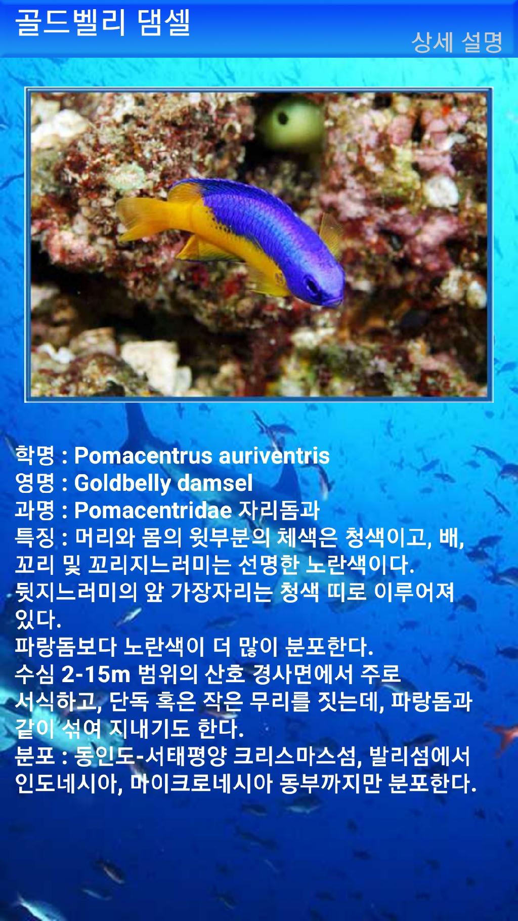 아메드 - 드롭오프