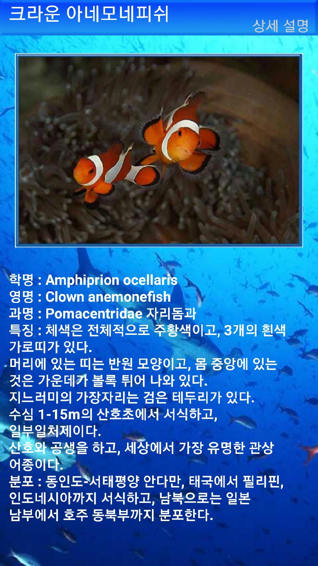 펀다이빙 - 빠당바이 - 딴중붕실
