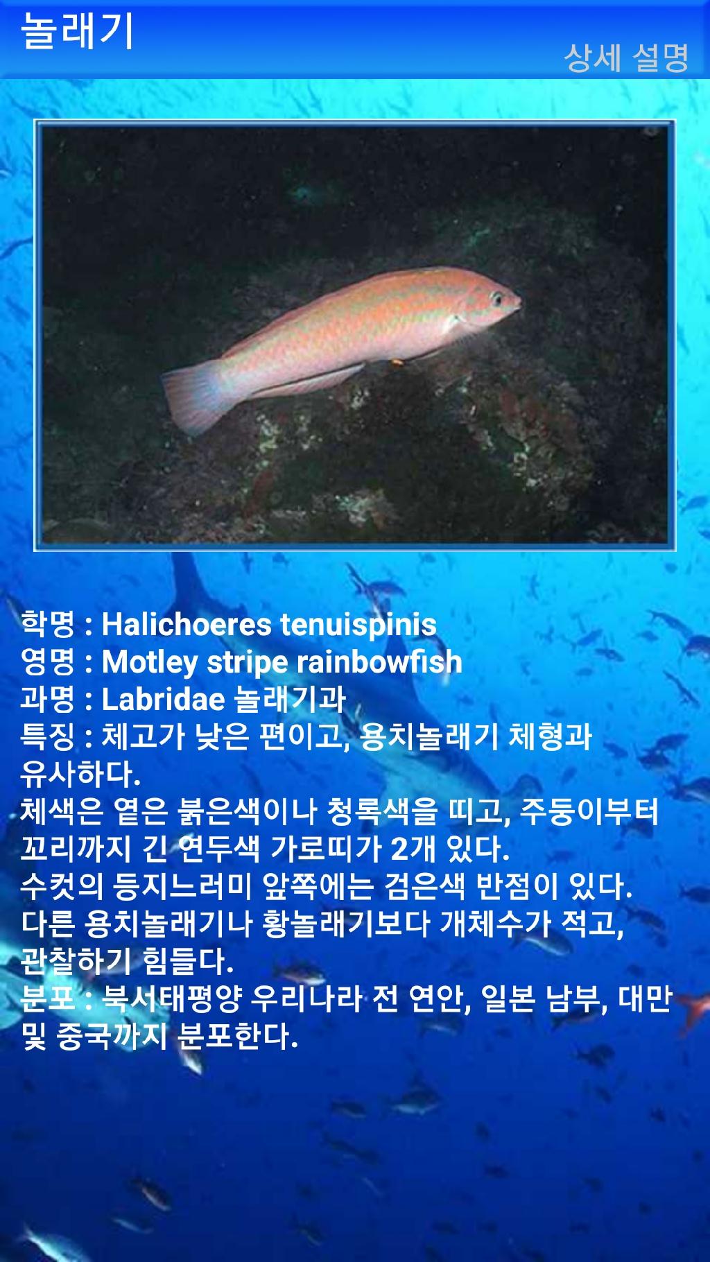 펀다이빙 - 빠당바이 - 딴중붕실