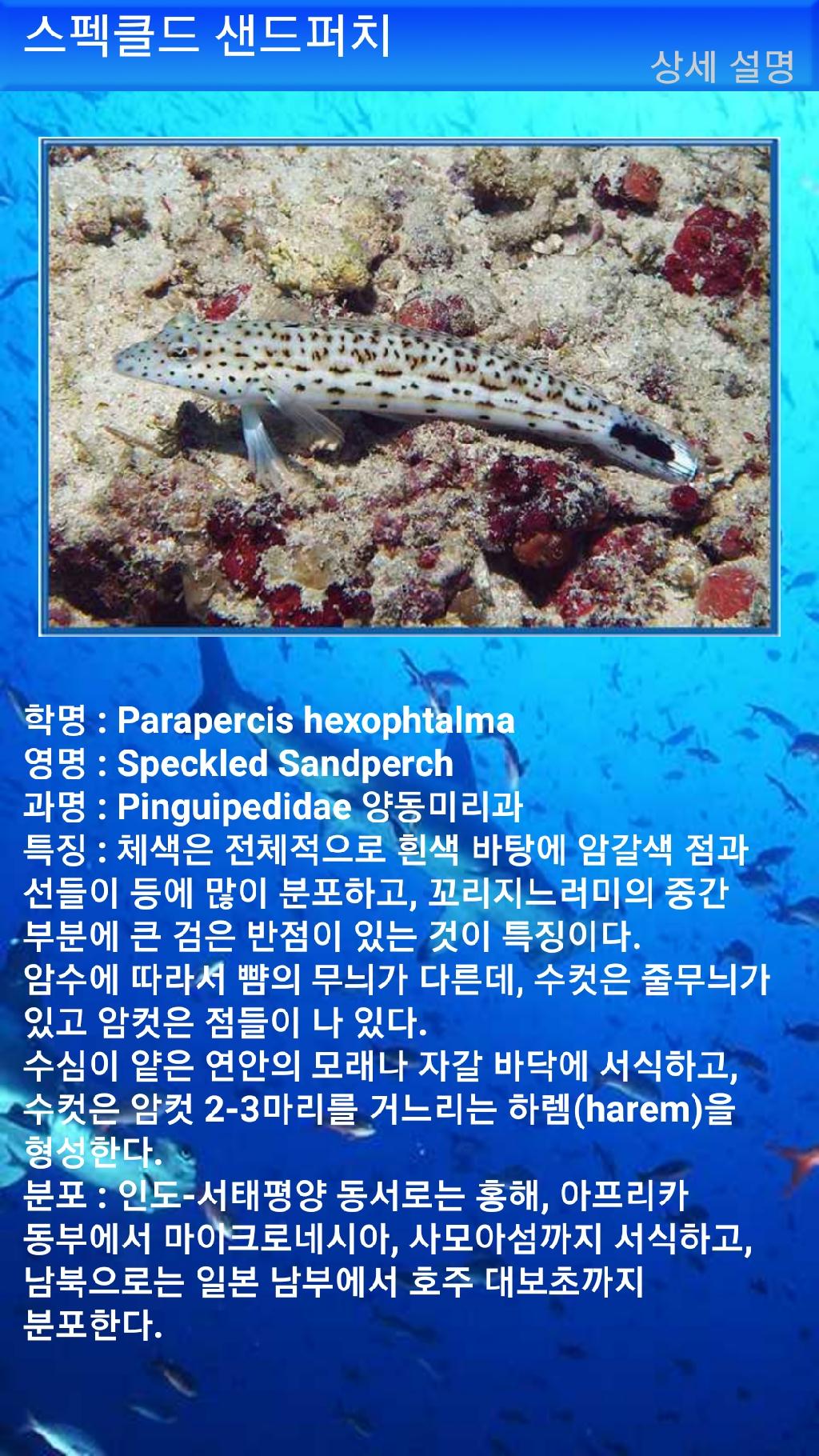 아메드 - 드롭오프