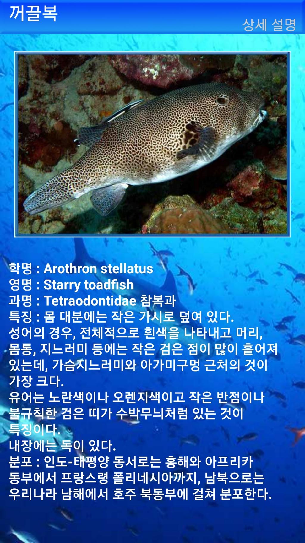 펀다이빙 - 빠당바이 - 딴중붕실