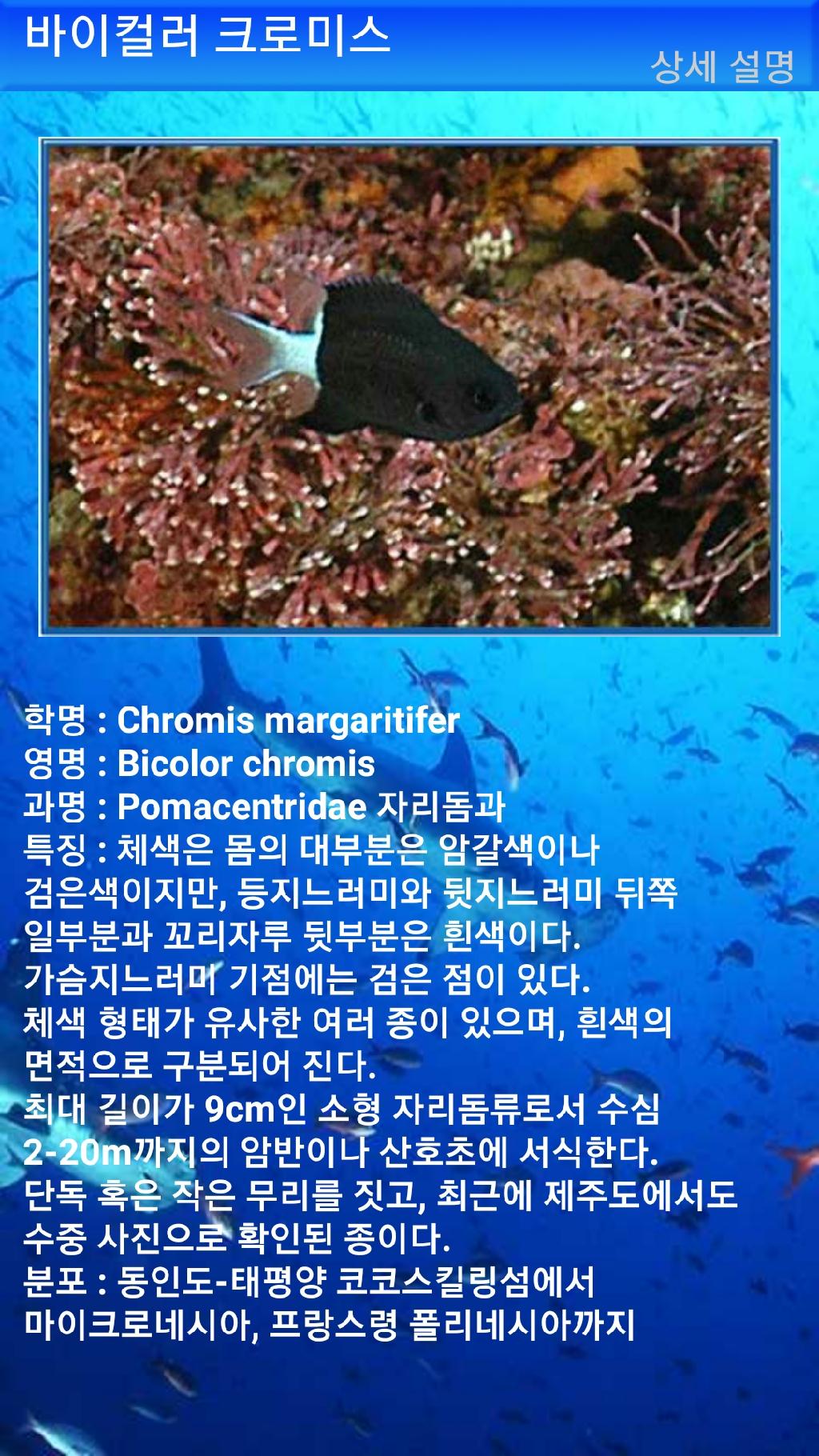 아메드 - 드롭오프