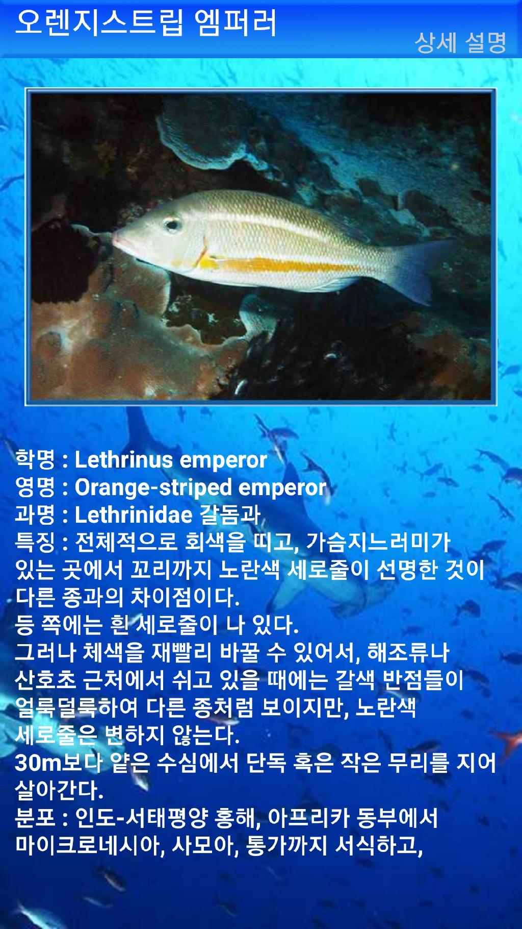 아메드 - 드롭오프
