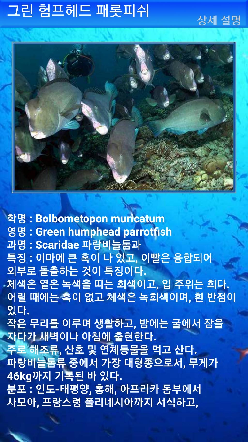 툴람밴 - 리버티호난파선
